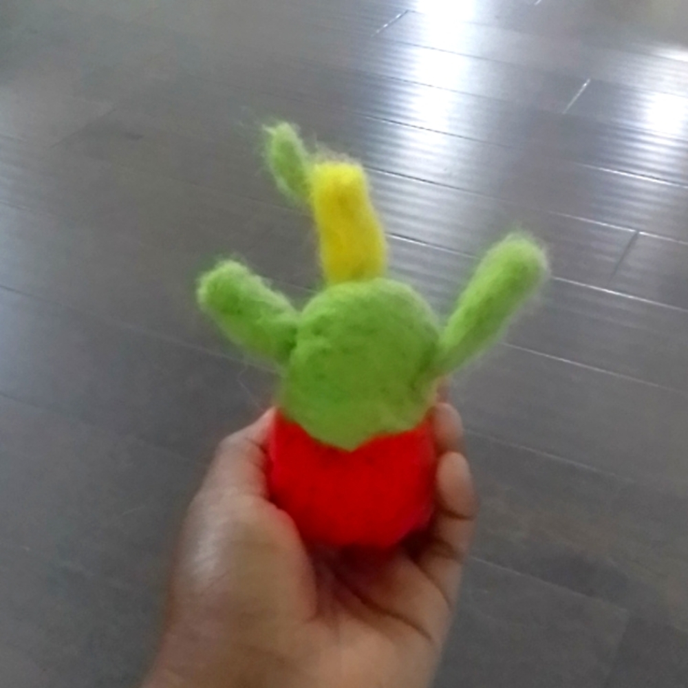 🌵catus